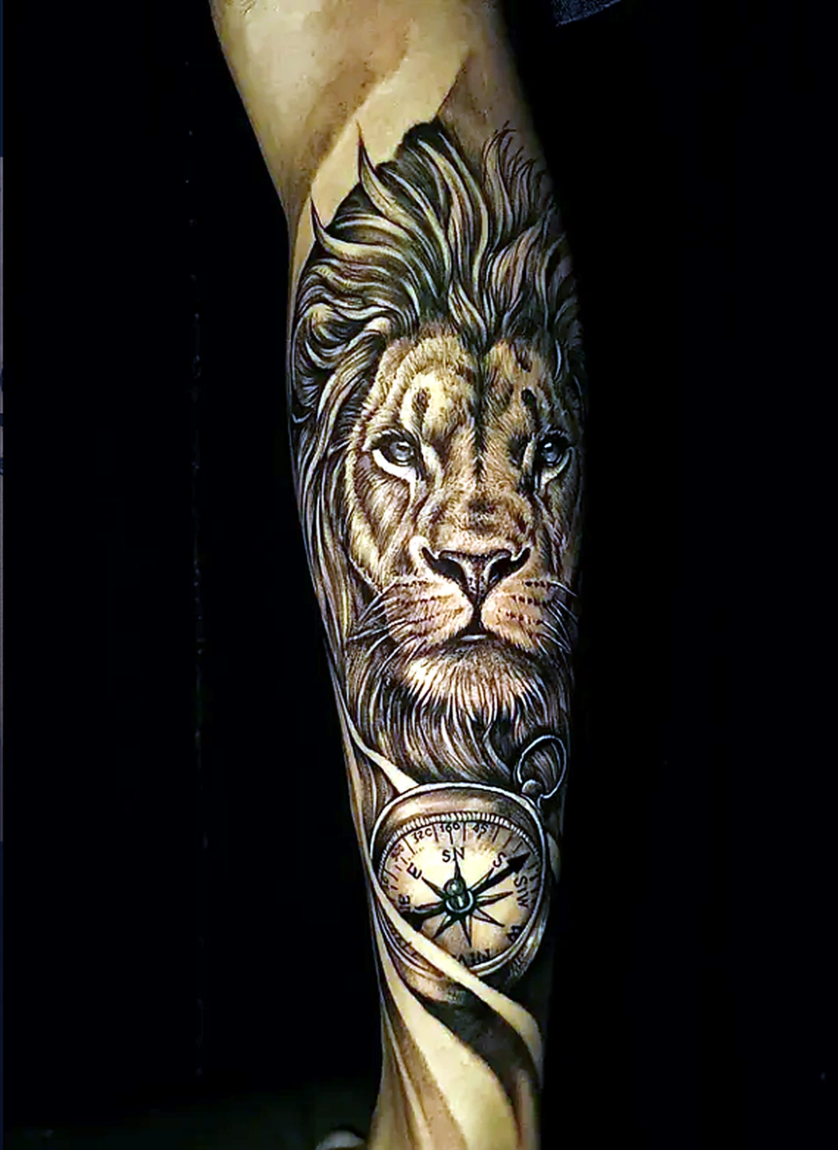 Tatuagem realista de leão e bússola